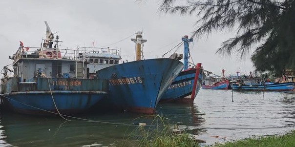 Bắn pháo hiệu kêu gọi tàu thuyền tránh bão