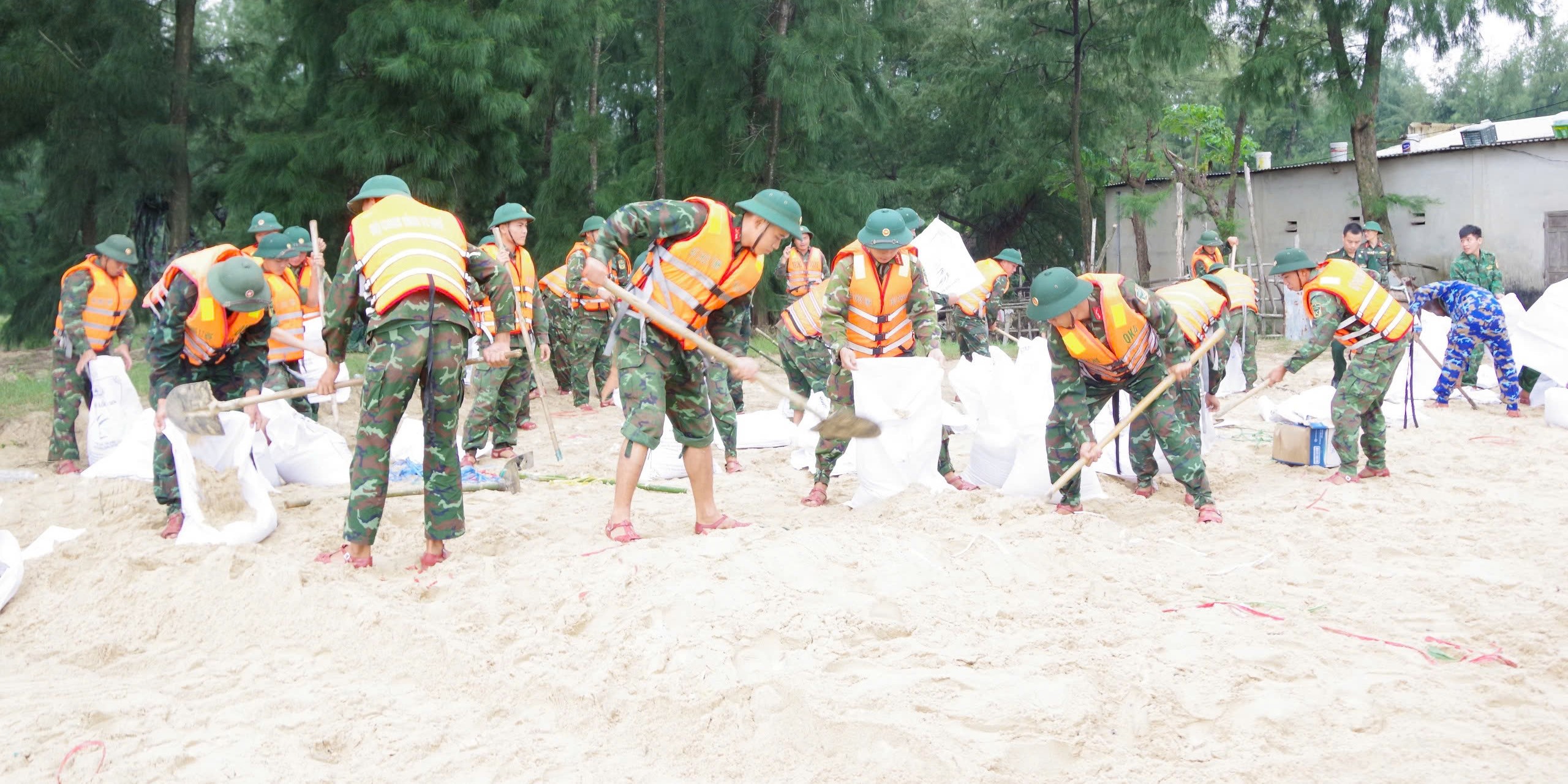 Căng mình giúp dân phòng bão