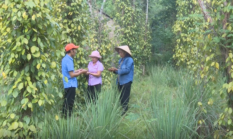 Chung tay chăm lo cho người nghèo