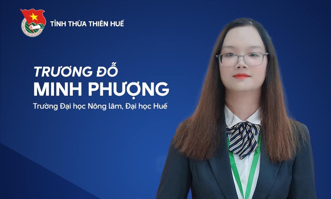 Thừa Thiên Huế có 3 giáo viên, giảng viên đạt Giải thưởng “Nhà giáo trẻ tiêu biểu”