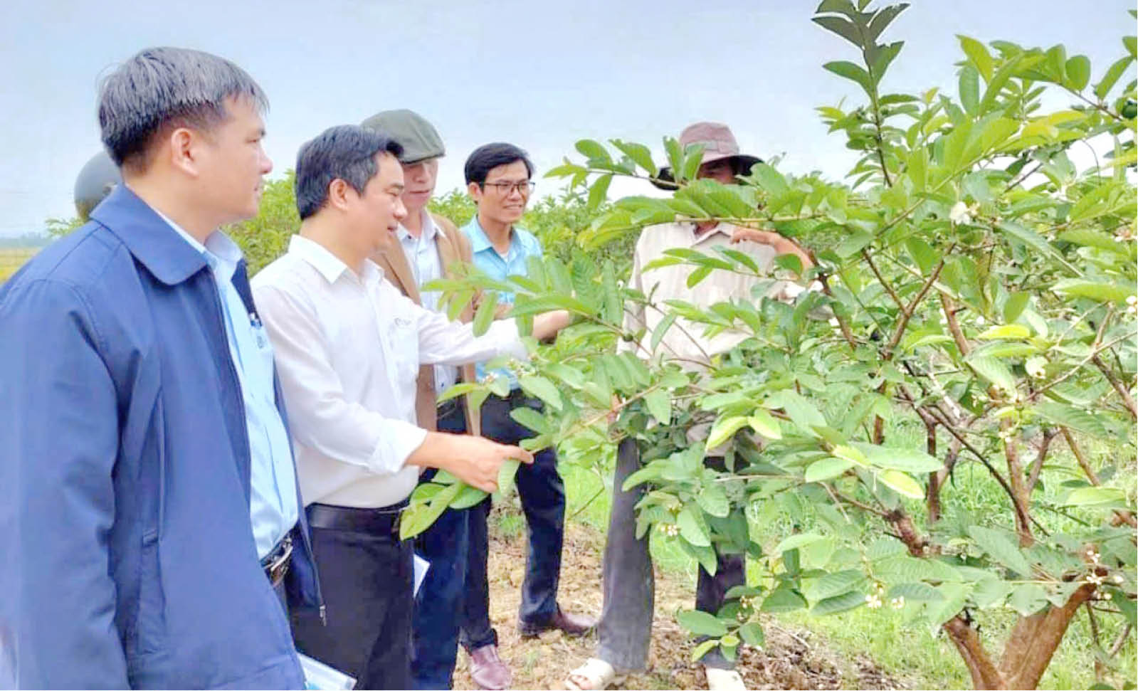 Thi đua sản xuất giỏi