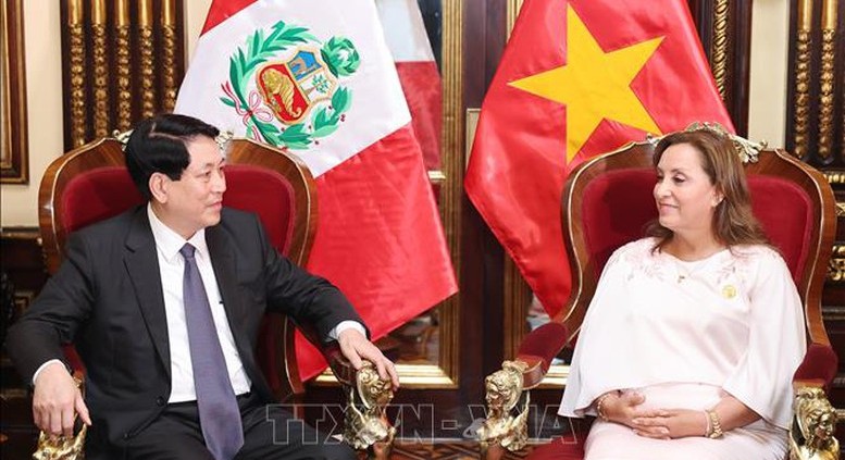 Chủ tịch nước Lương Cường hội đàm với Tổng thống Peru Dina Ercilia Boluarte Zegarra