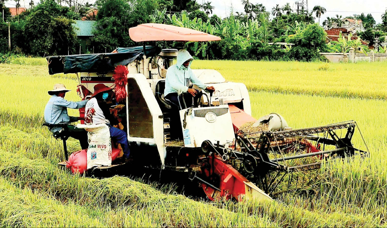 Phát triển các dịch vụ nông thôn thông minh