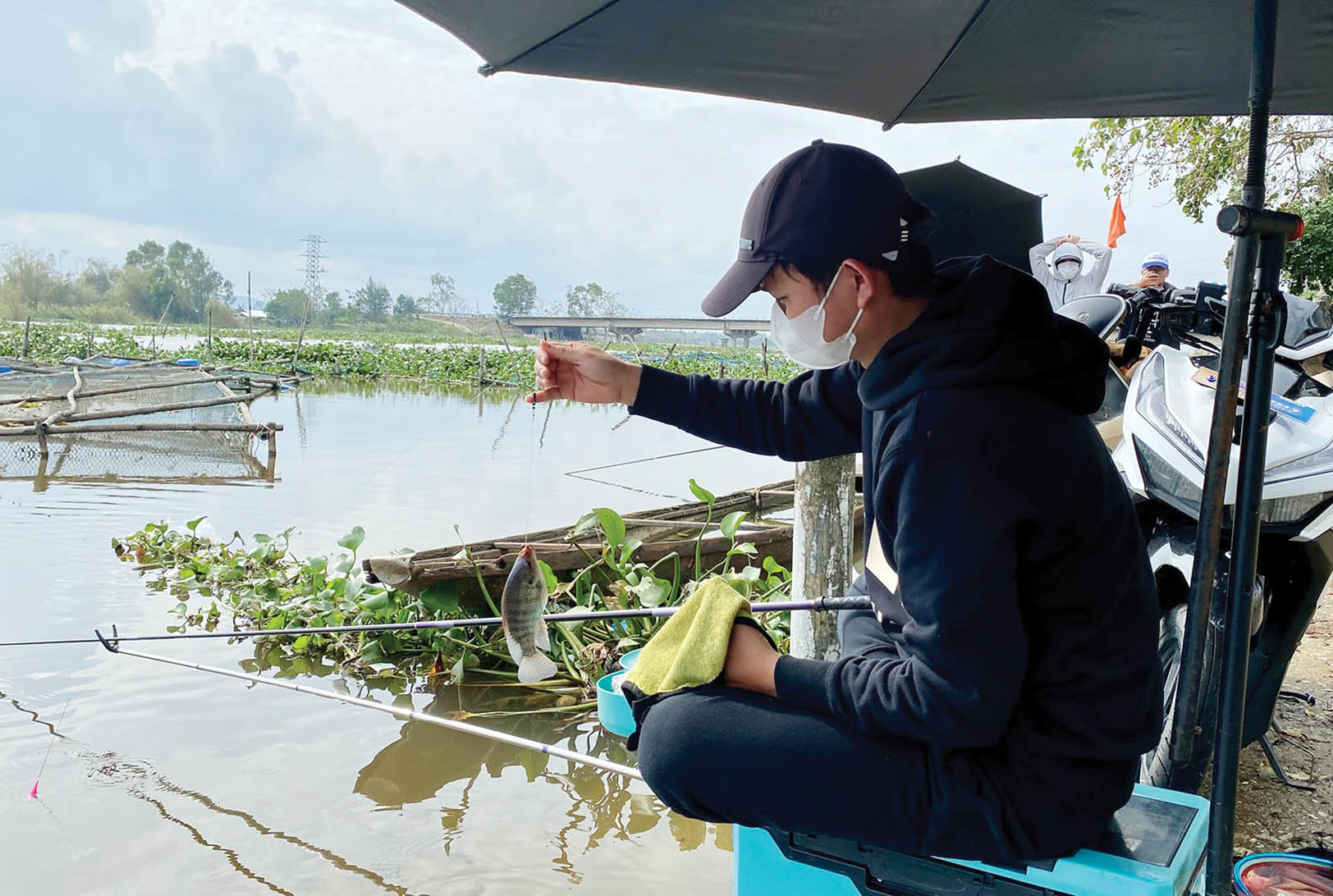 Tăm cá mùa nước lên