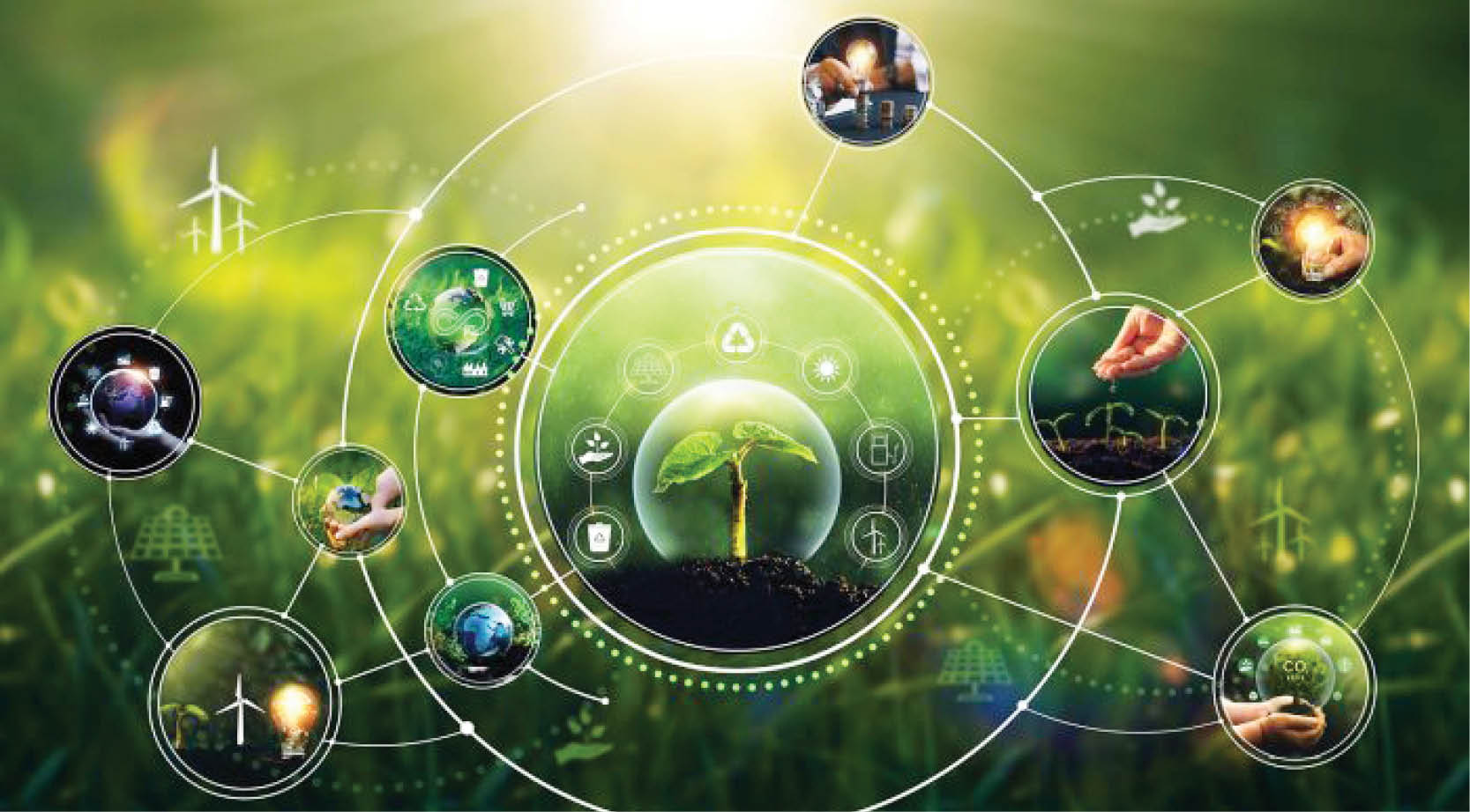 COP29 Công nghệ kỹ thuật số và AI có thể thúc đẩy hành động khí hậu