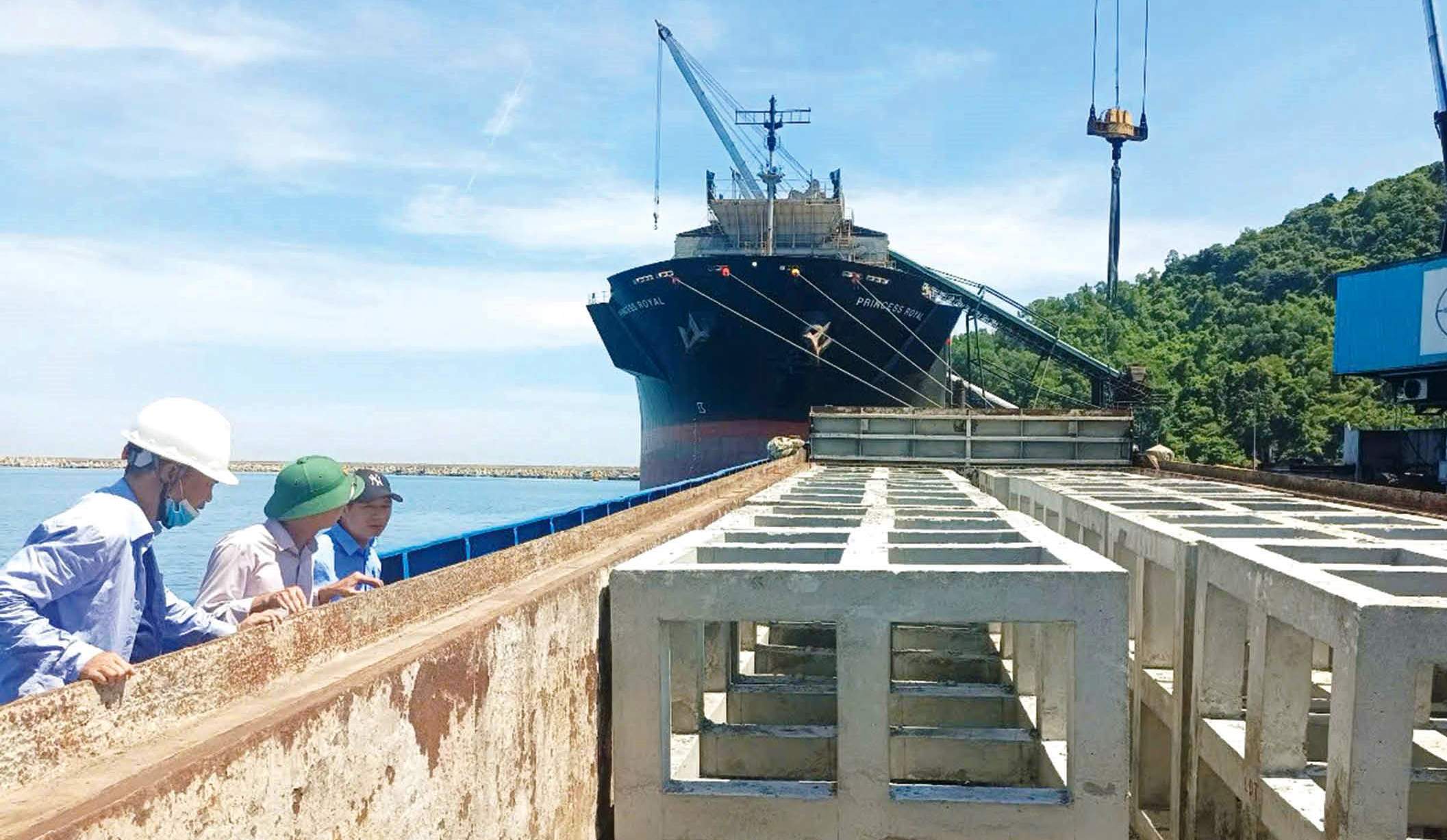 Kiến nghị dừng dự án phục hồi rạn san hô