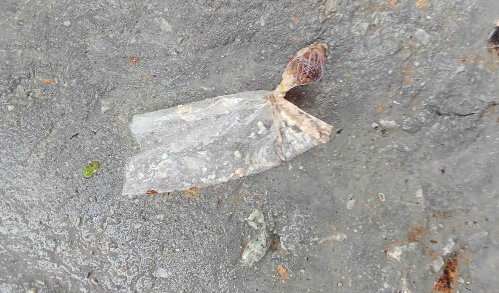 “Ẩn họa” từ nạn trộm chó