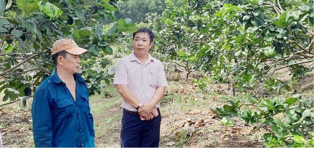 Những cựu chiến binh vươn lên làm giàu