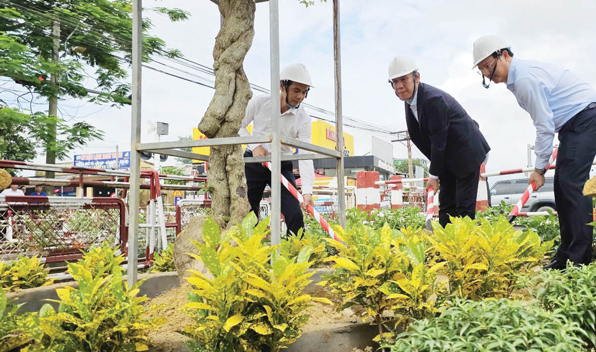Đi tàu ngắm đường hoa