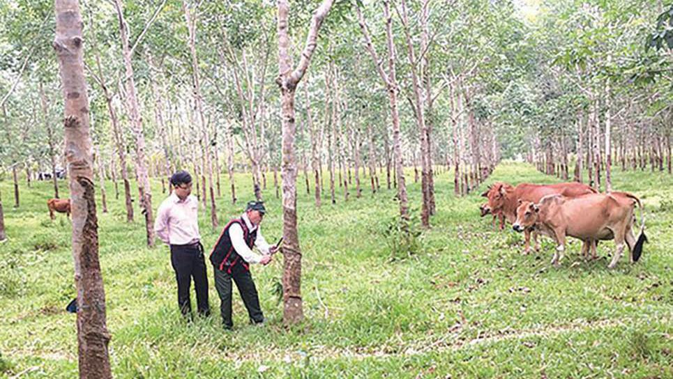 Cựu chiến binh Nam Đông vươn lên thoát nghèo