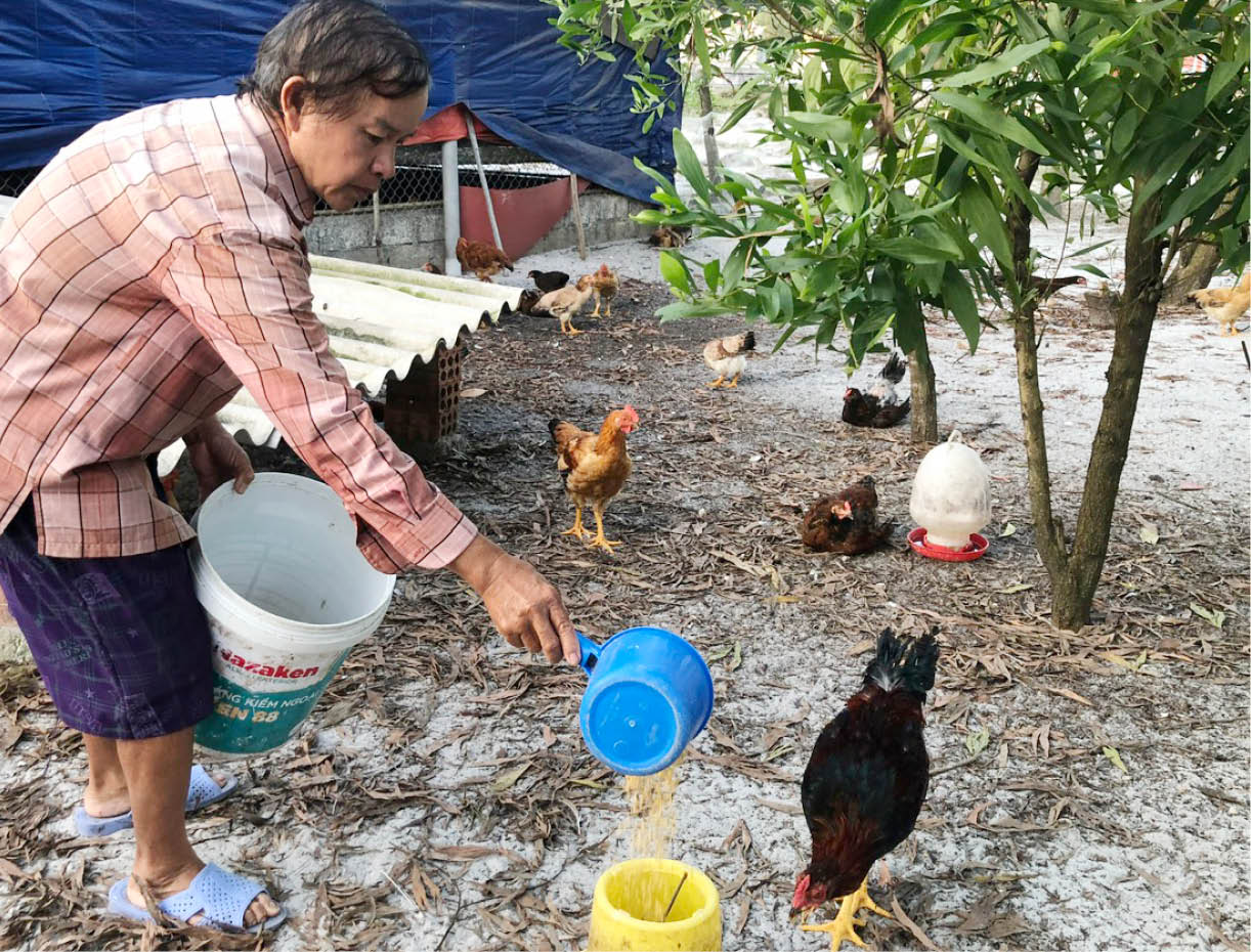 Phần thưởng xứng đáng