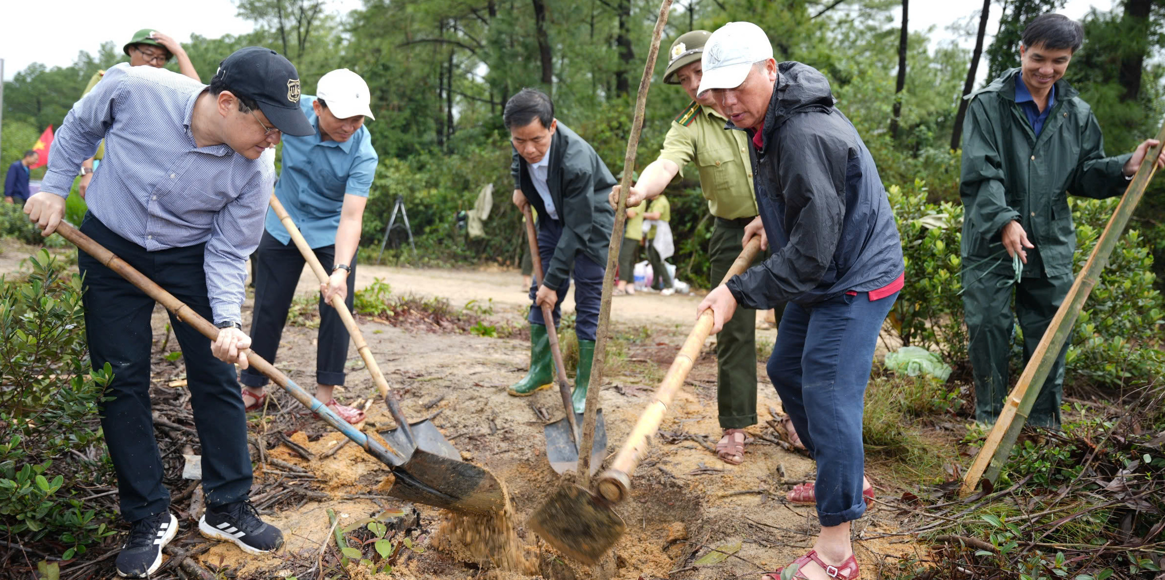 Trồng cây tôn tạo cảnh quan núi Kim Phụng