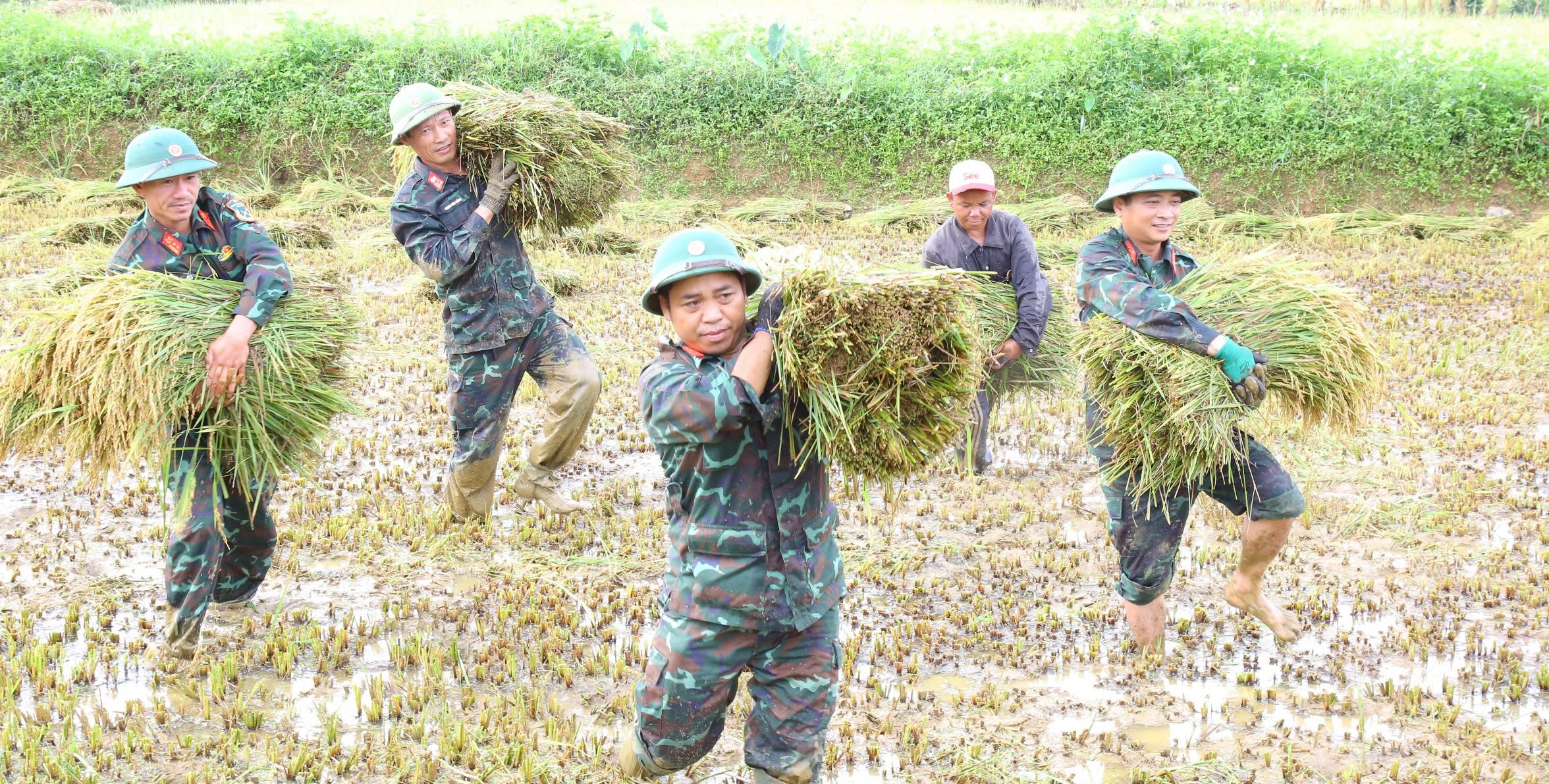Trên 573 tỷ đồng hỗ trợ Đoàn Kinh tế - Quốc phòng dọc biên giới