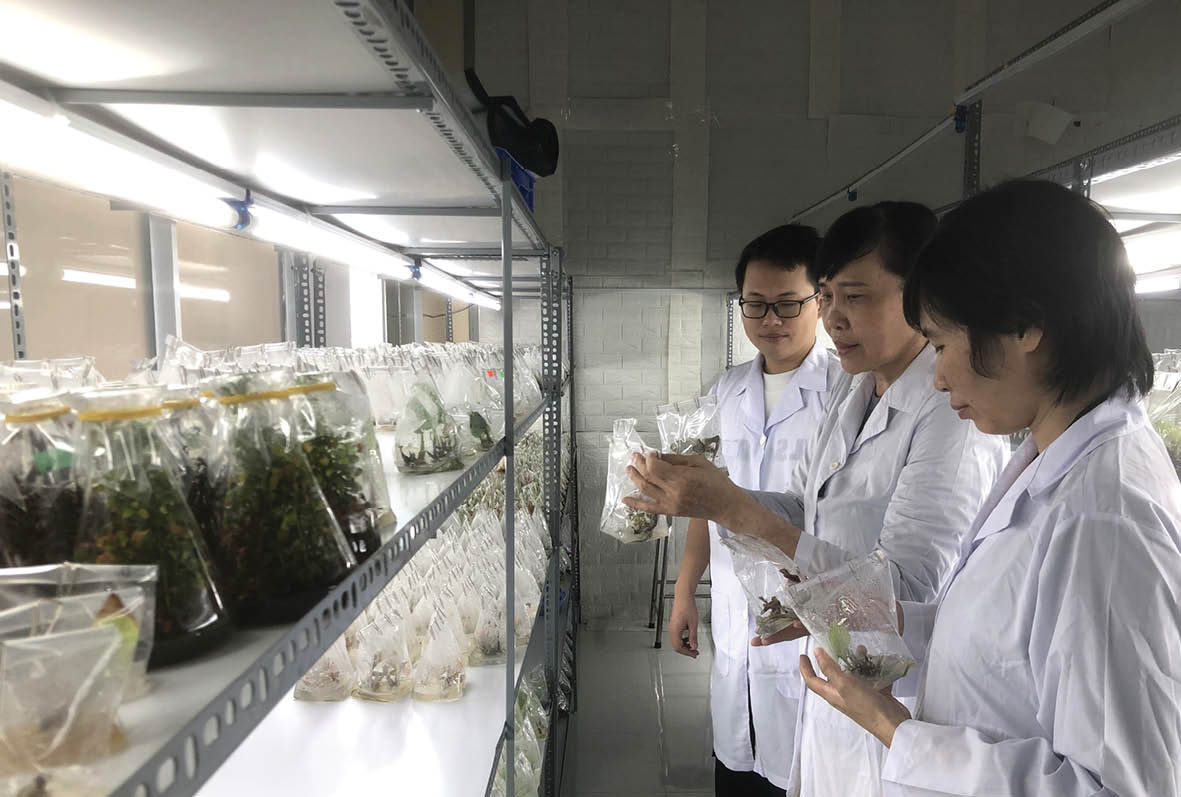 Hướng đến sản xuất xanh