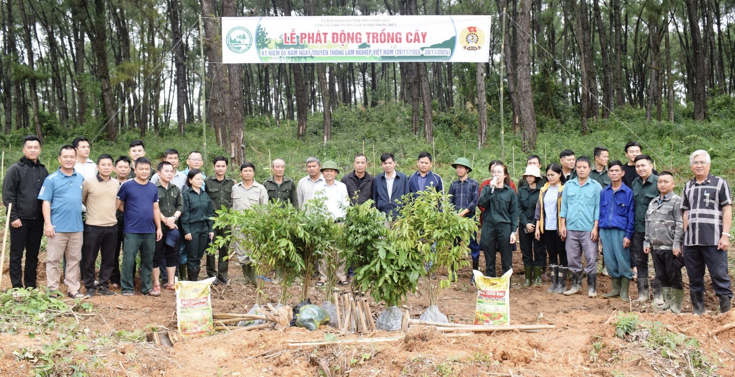 Phong Điền hưởng ứng chương trình trồng 1 tỷ cây xanh