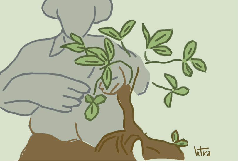 Thoáng bóng hoàng mai