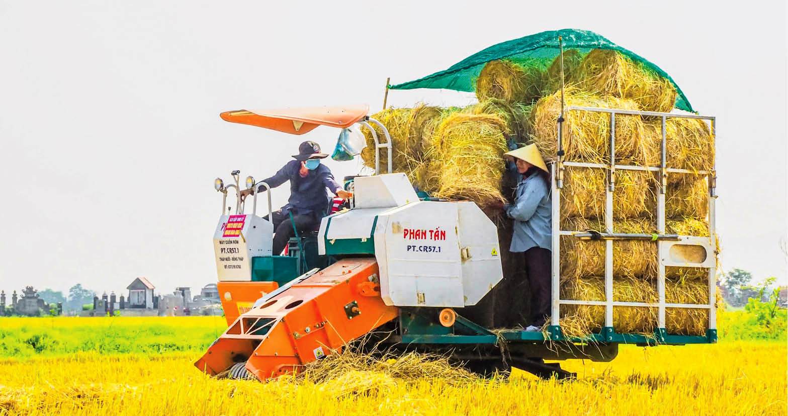 Bức tranh tươi sáng trên quê hương Đại tướng