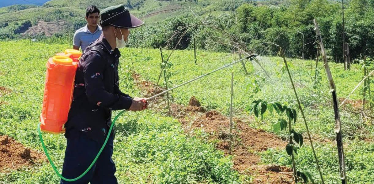 Mô hình mới trên đất Quảng Nhâm