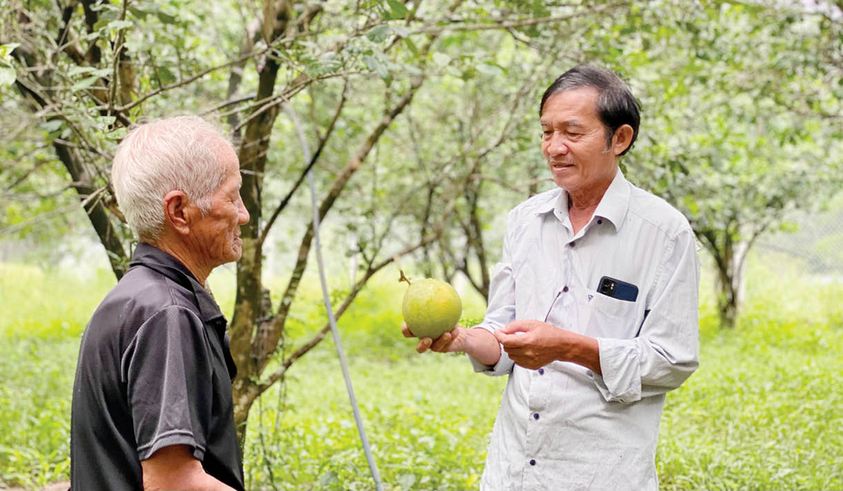 Người cao tuổi phát triển kinh tế