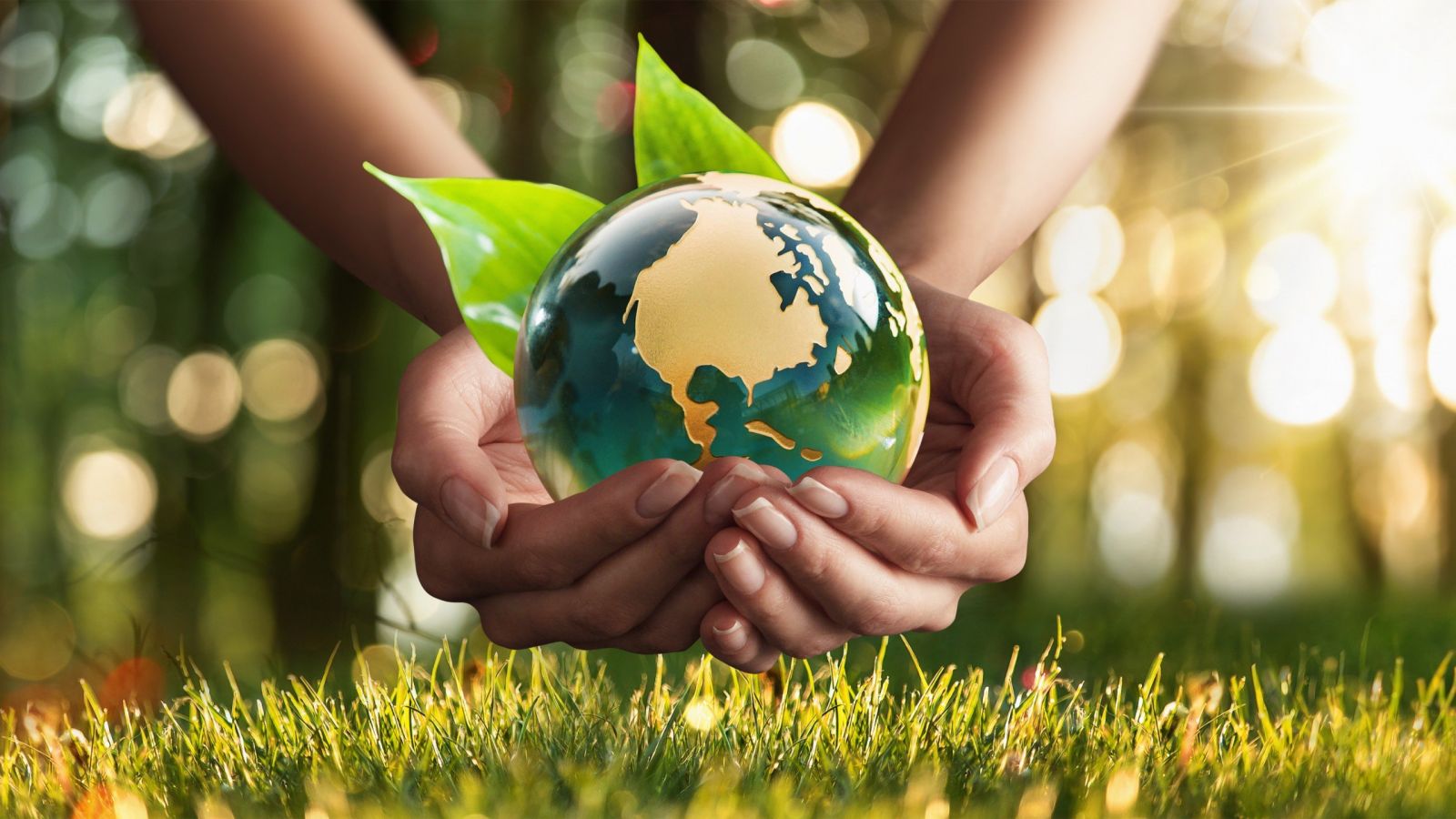 Thúc đẩy phát triển và khả năng phục hồi toàn cầu