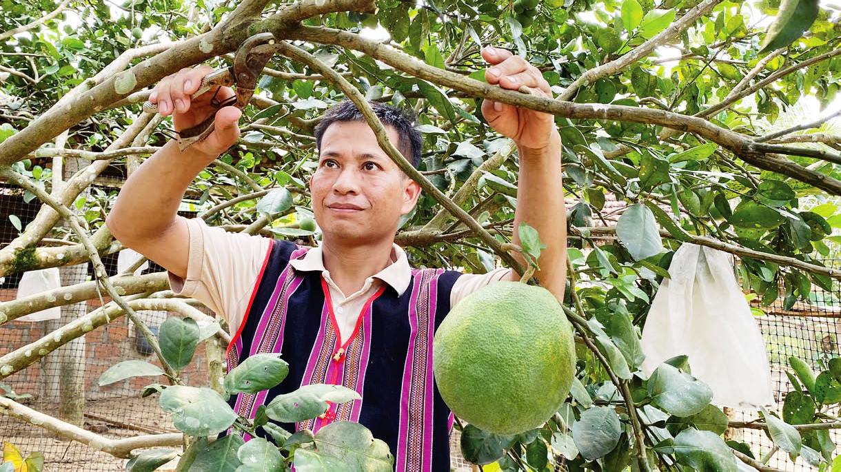 Điểm tựa giúp người dân Nam Đông thoát nghèo