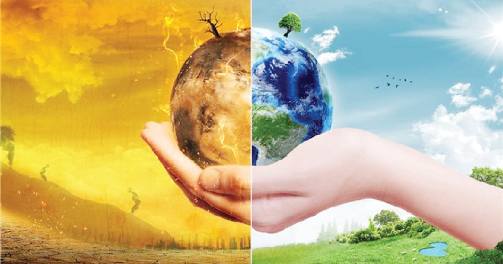 Khí thải nitơ oxit gia tăng, đe dọa tầng ôzôn và sức khỏe con người