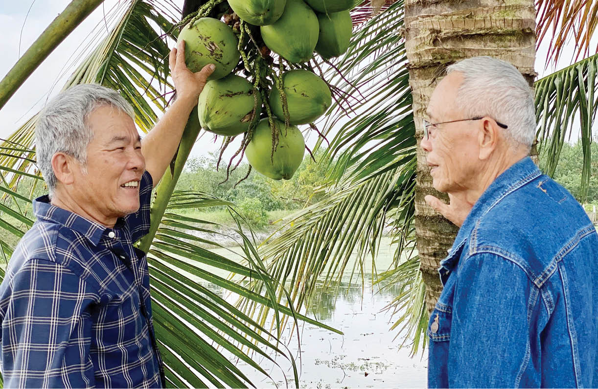 “Quả ngọt” từ trảng cát