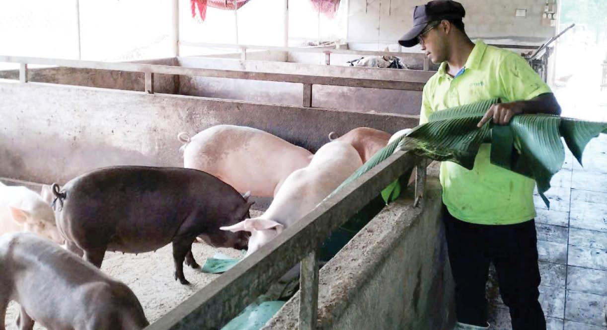 Khởi nghiệp trên đất biên cương