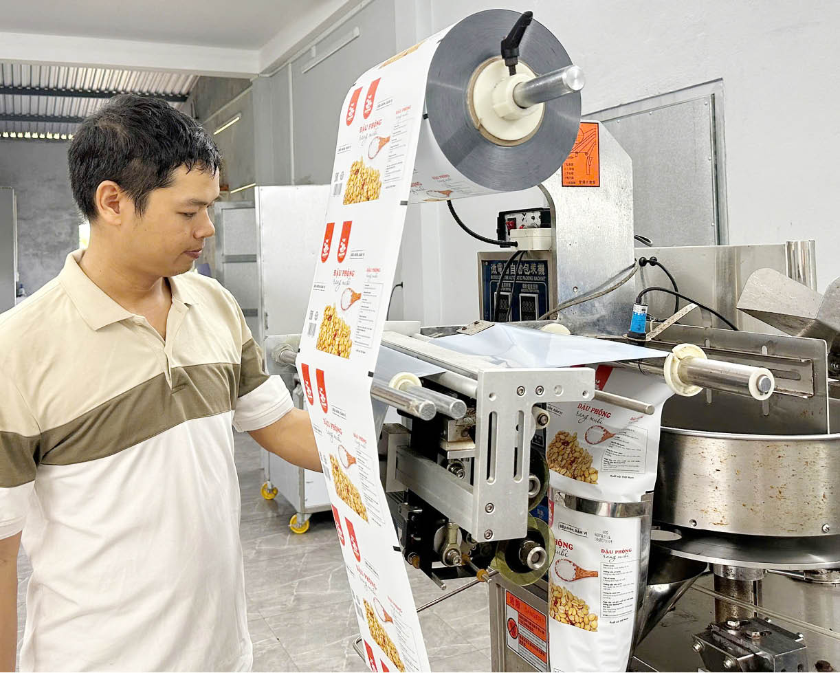 Hợp tác xã của giám đốc trẻ