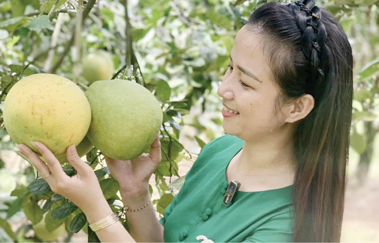 “Lên đời” cho phụ phẩm nông nghiệp