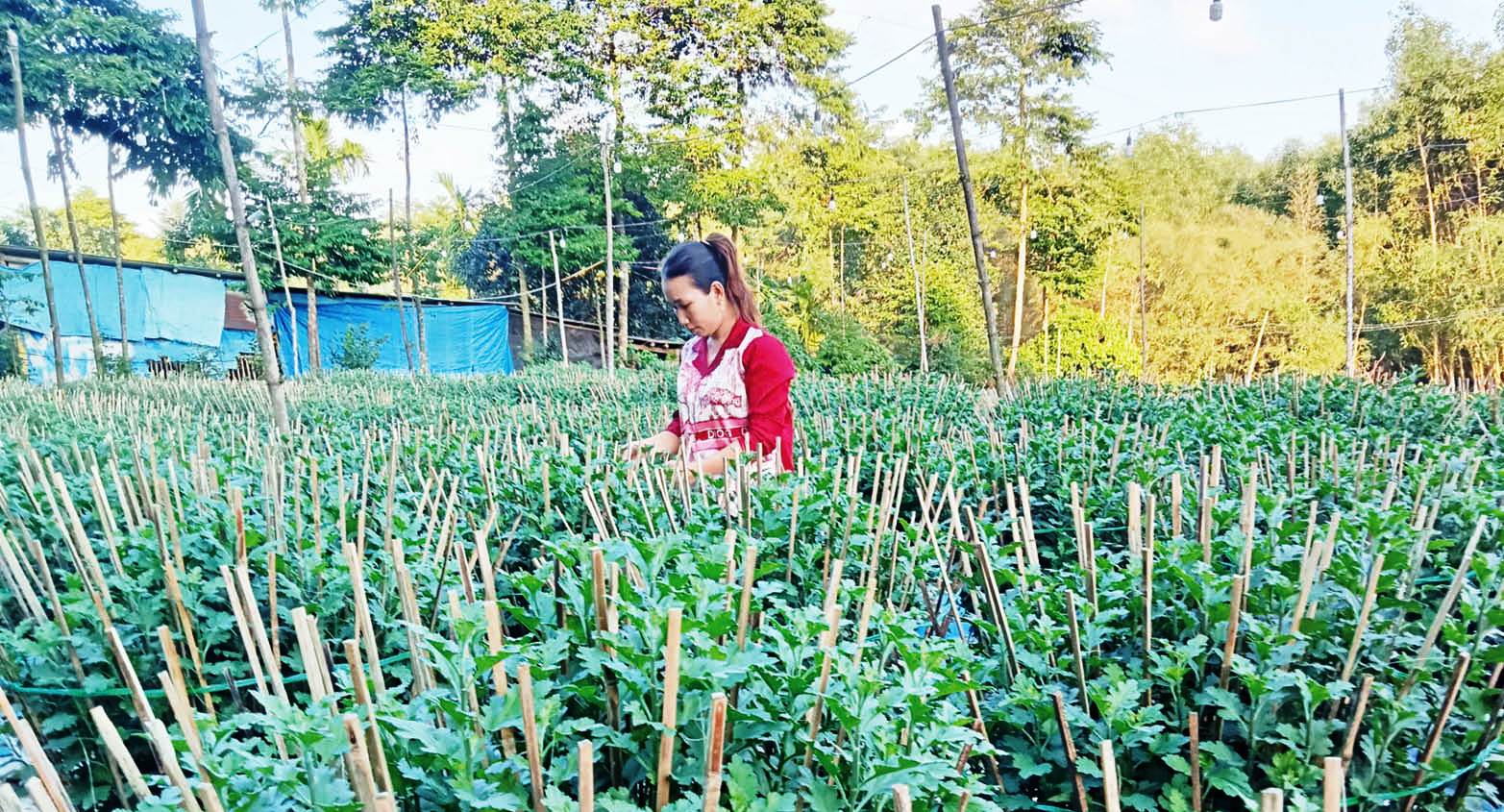 Gieo mầm thịnh vượng