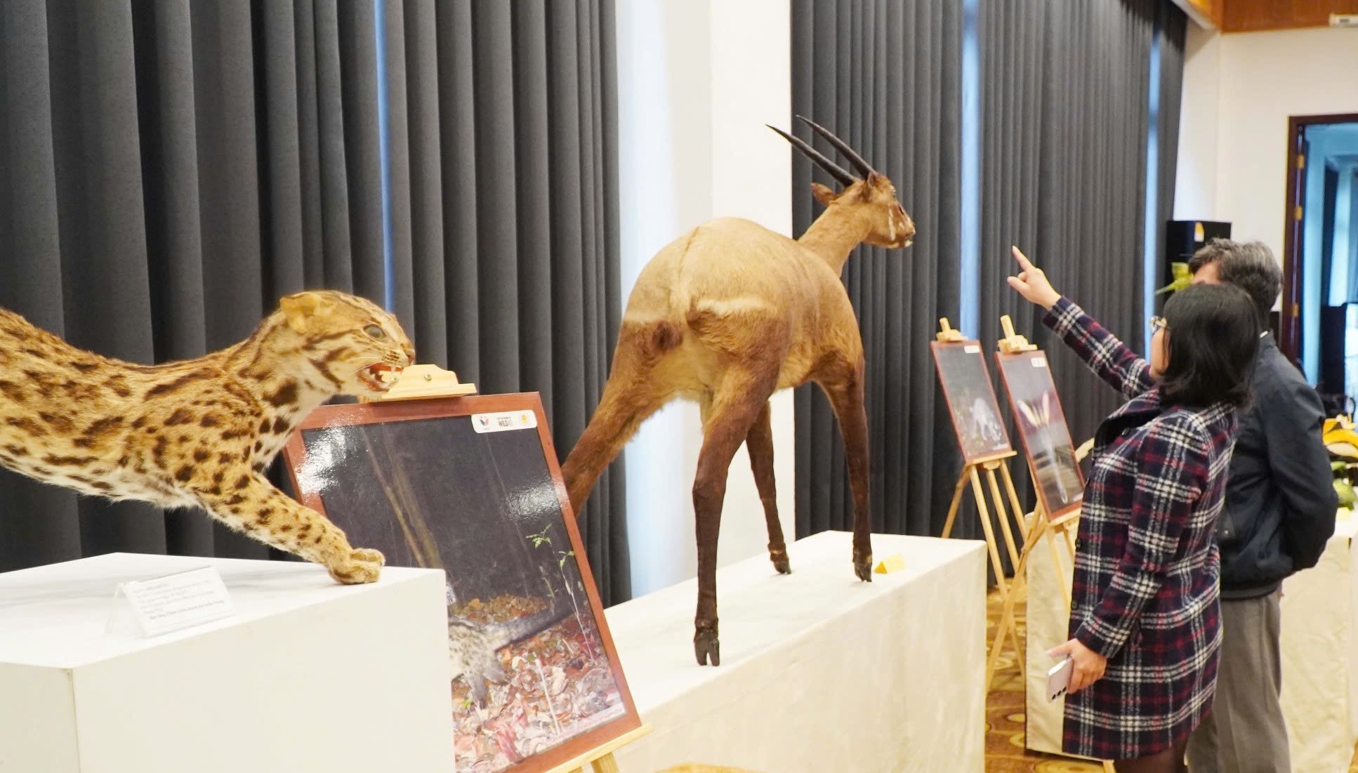 15 năm xây dựng và phát triển Bảo tàng Thiên nhiên duyên hải miền Trung