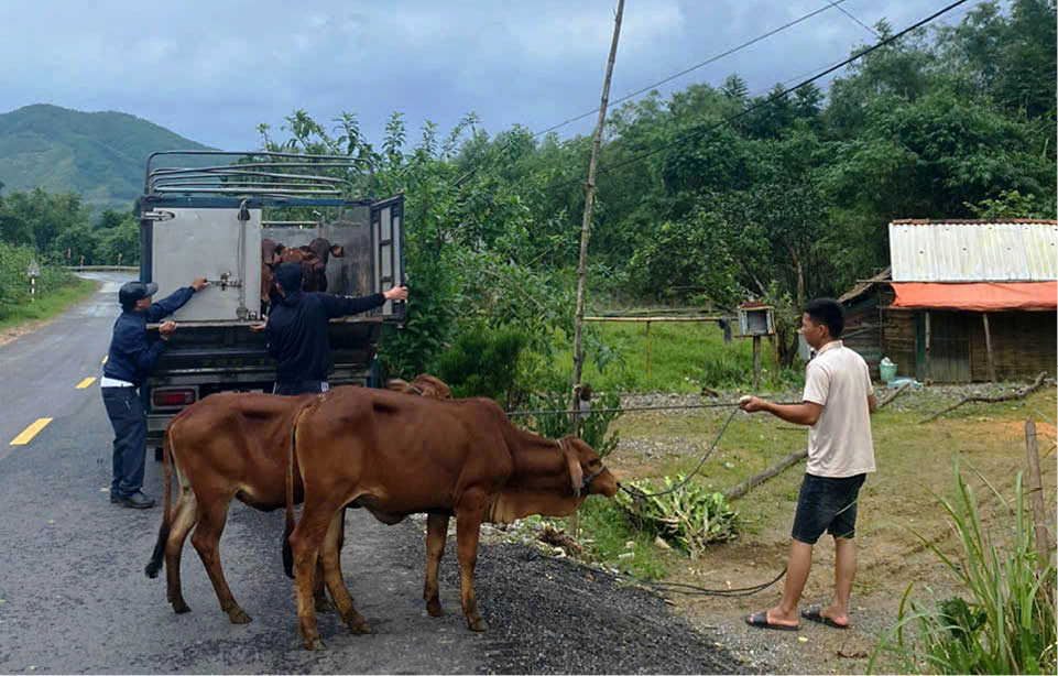 Giảm nghèo ở vùng lõi