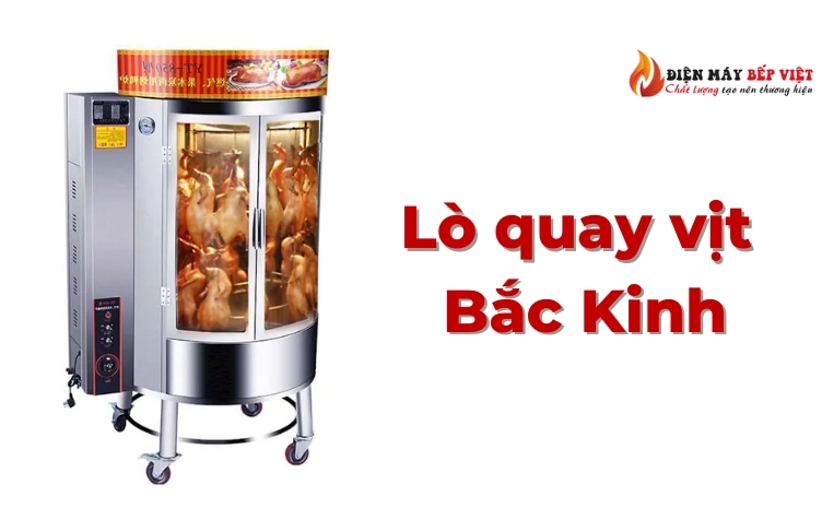 Lò quay vịt, gà Inox dùng điện gas chính hãng, giá tốt