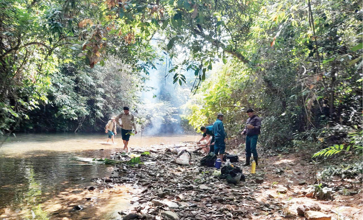 Giữ cho rừng thêm xanh