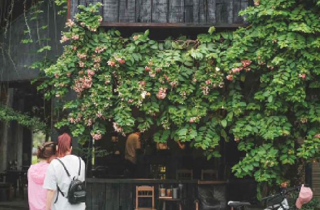 “Rèm xanh” cho căn nhà