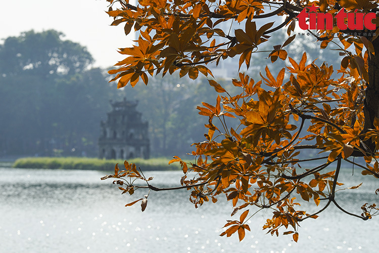 Thời tiết ngày 20 12 Bắc Bộ đêm và sáng trời rét, gió mạnh trên biển