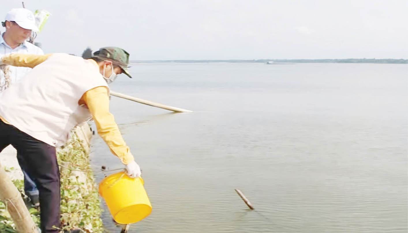 Chủ động phòng, chống rét cho vật nuôi