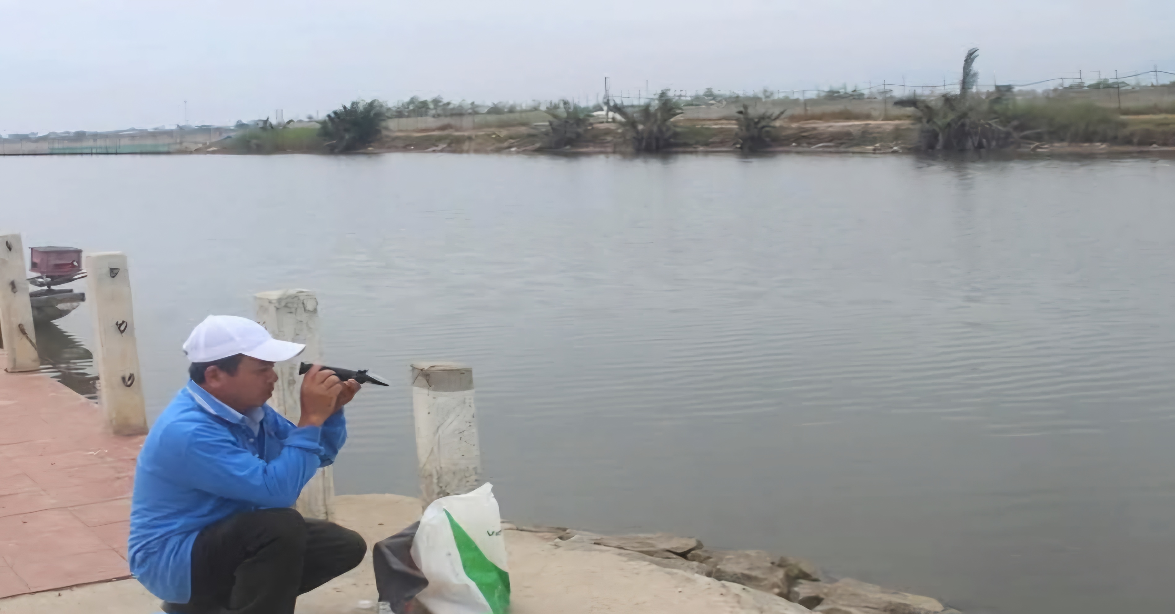 Mưa rét kéo dài làm cá nuôi lồng bị chết