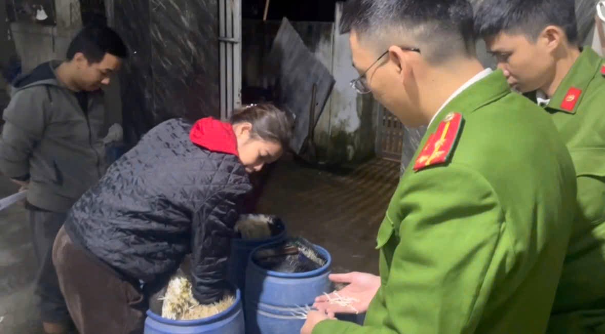 Phát hiện cơ sở dùng chất kích thích tăng trưởng sản xuất giá đỗ