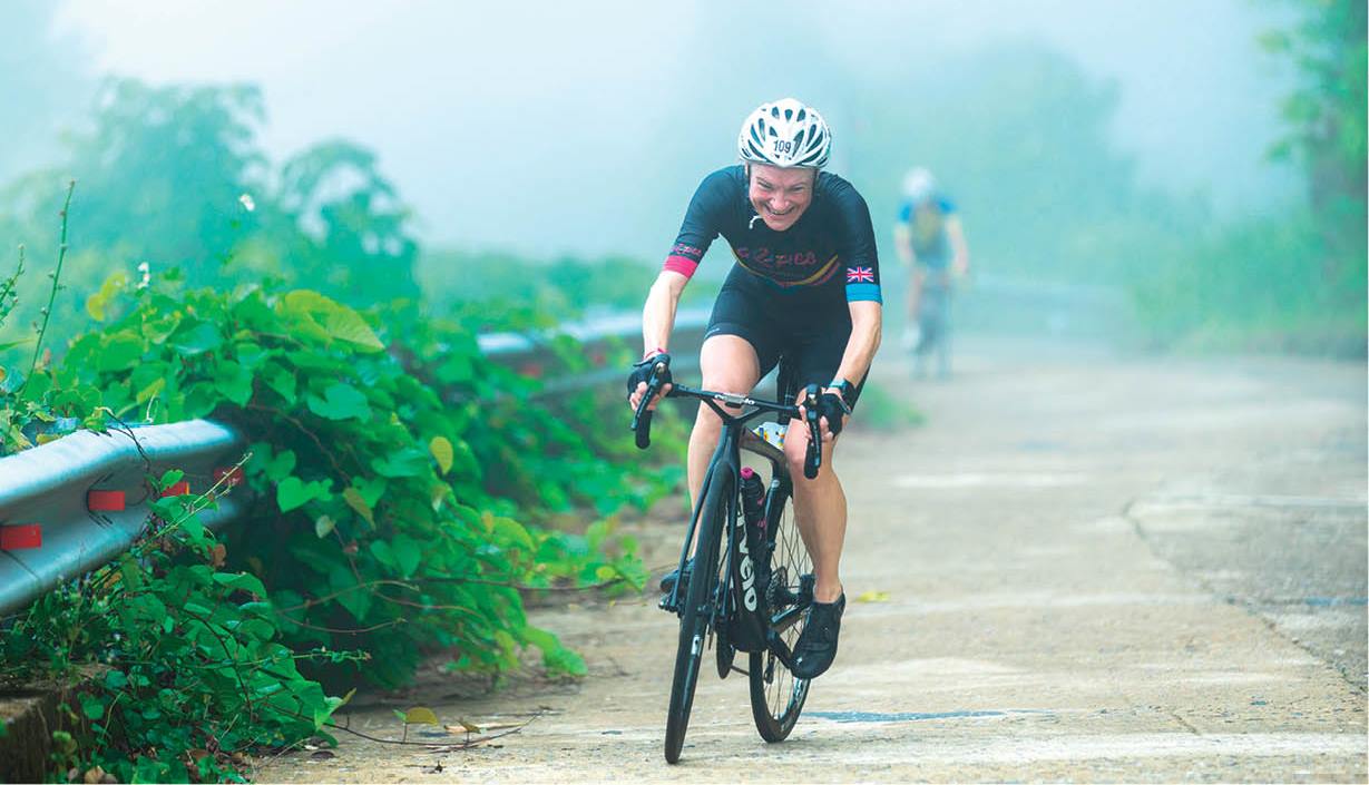 Gà đẻ trứng vàng