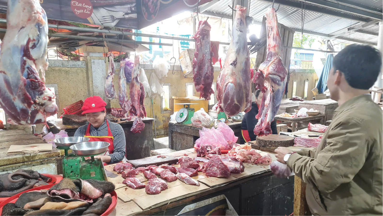 Để “Thịt bò vàng A Lưới” vươn xa