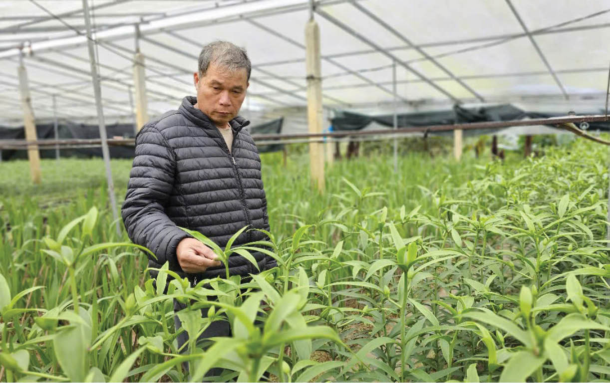 Đặc sản cho vụ Tết