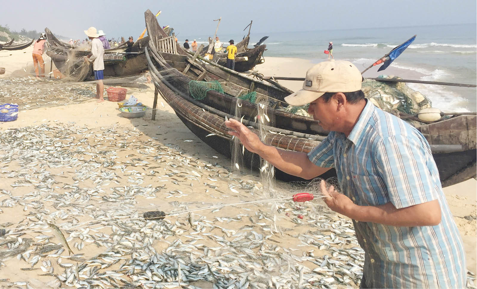 Tín hiệu khả quan từ đánh bắt, nuôi trồng thủy, hải sản