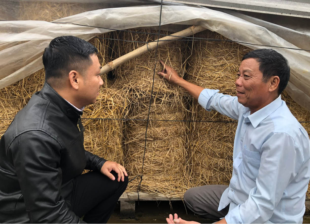 Còn sức, còn lao động