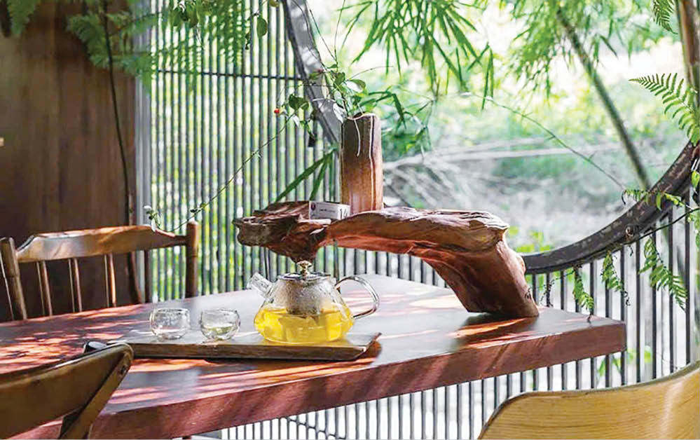 Bốn mùa đón gió