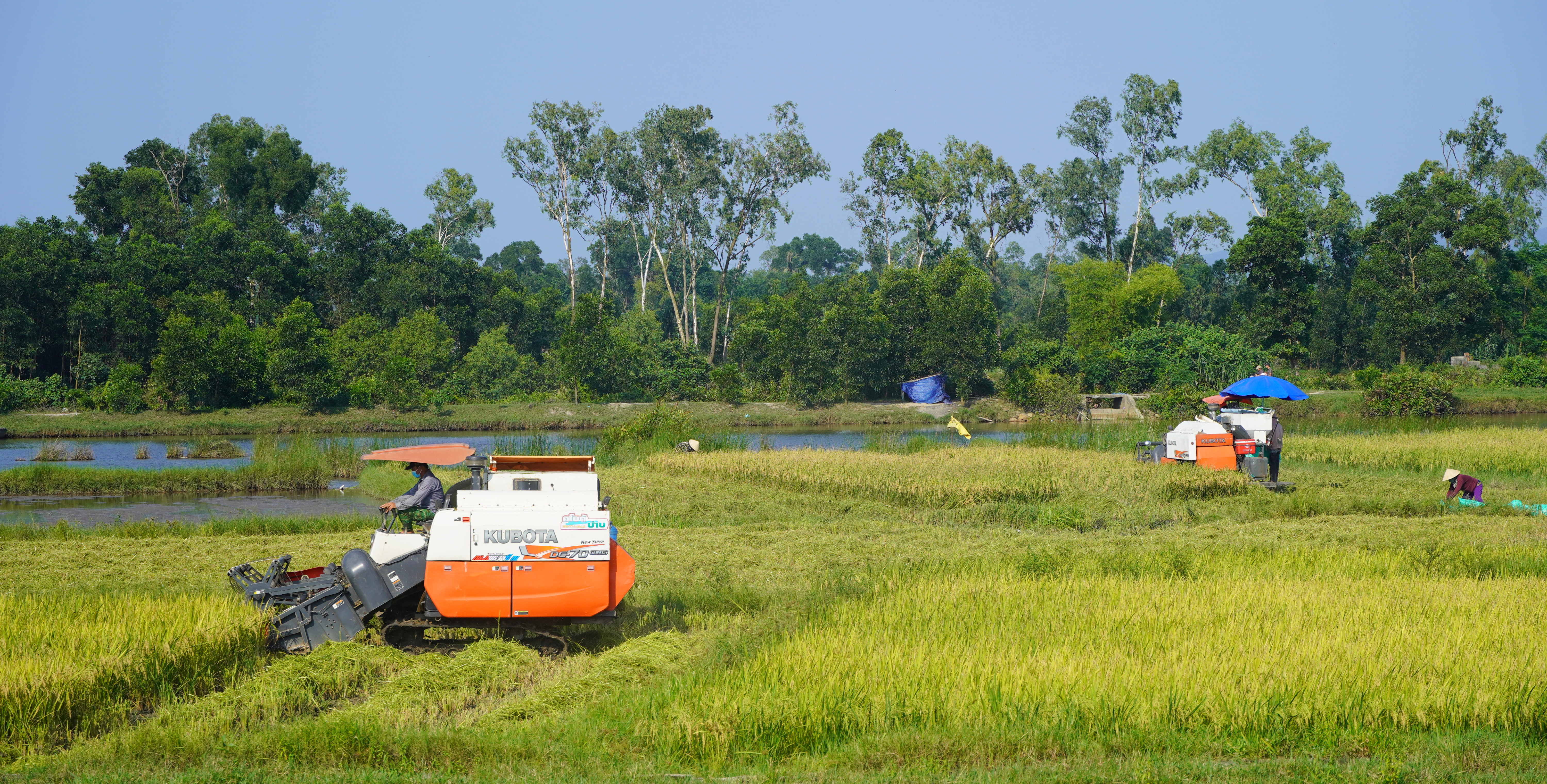 Phú Lộc Tập trung tạo bứt phá mạnh mẽ trong phát triển kinh tế - xã hội