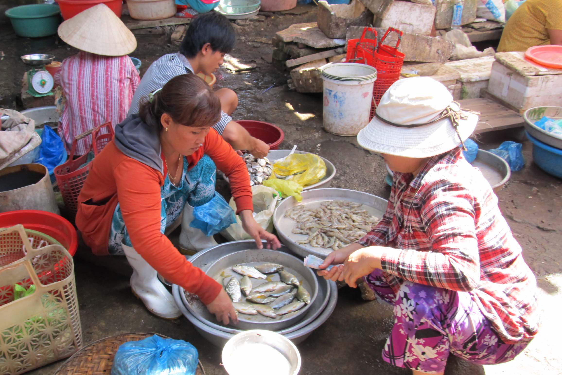 Hồi kết cho nỗi ám ảnh