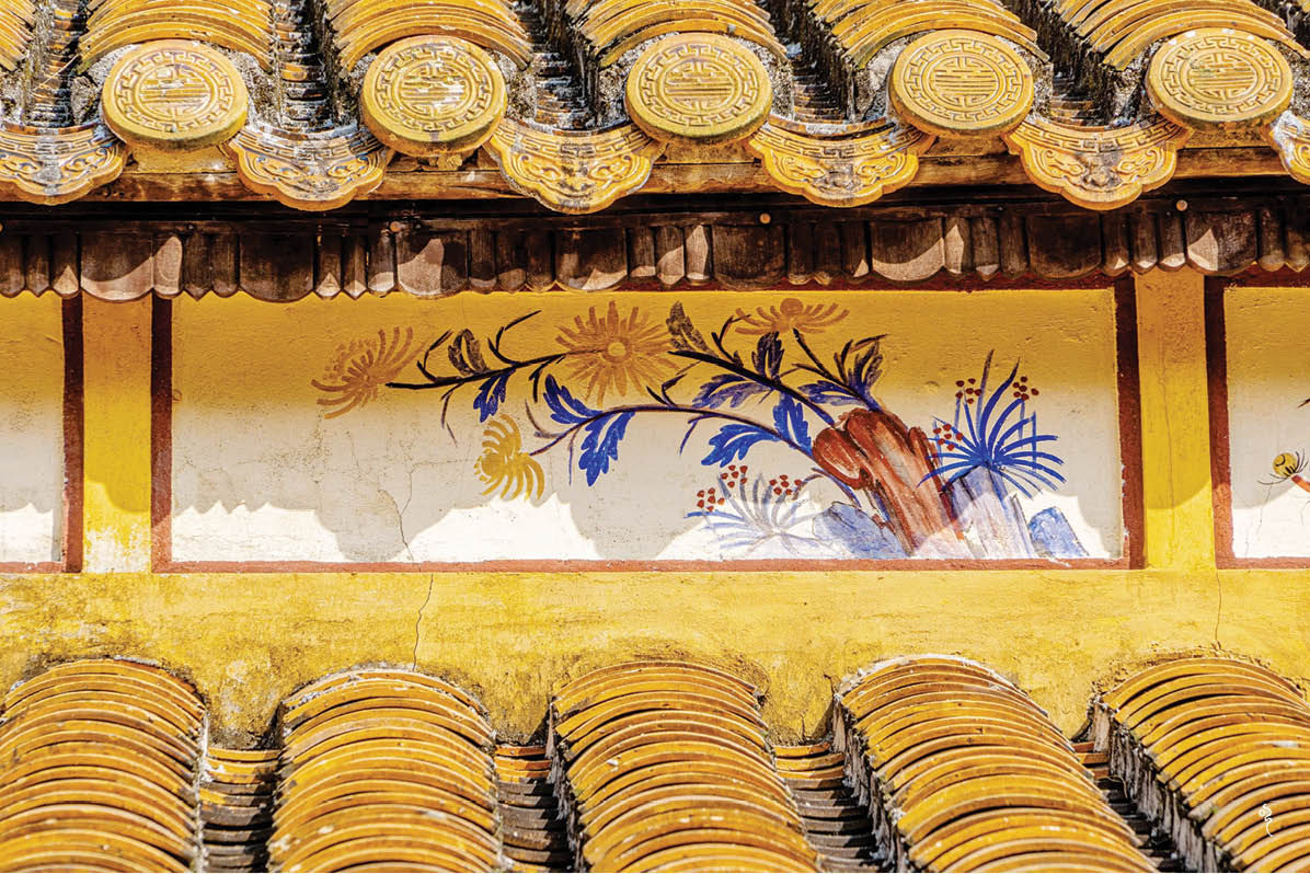 Cúc cổ… nơi mô