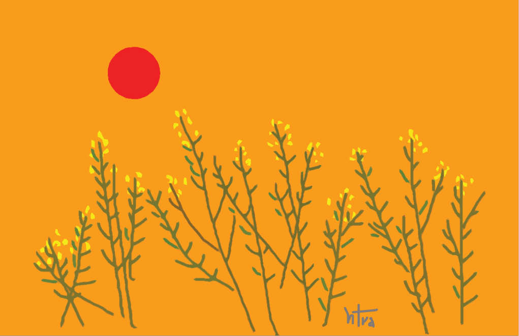 Hương thơm từ đất